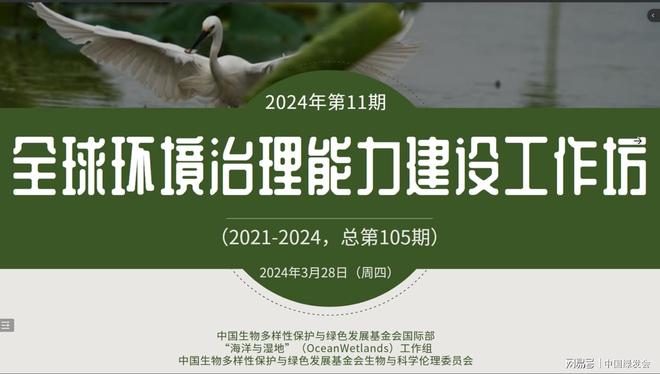 绿会国际部召开2024全球环境治理能力建