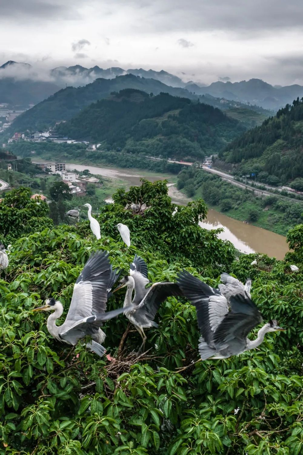 明晟ESG最新评级：茅台跃两格升至BBB级(图7)